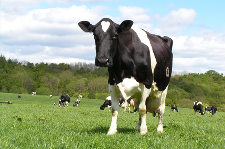 官方網站全新改版上線！